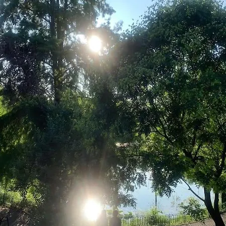 아파트 Little Paris Boutique