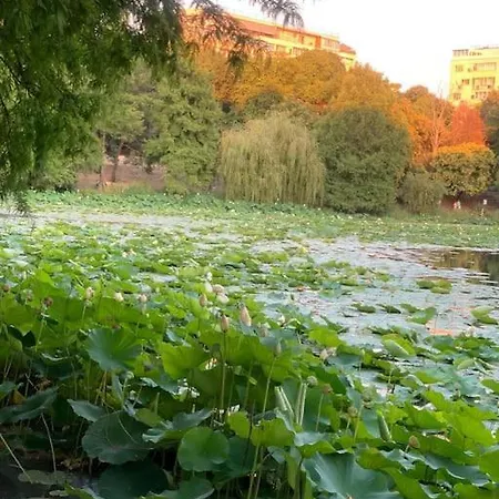 Little Paris Boutique Appartamento *