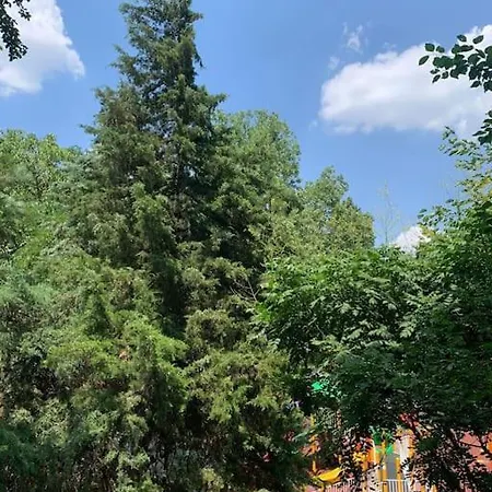 Little Paris Boutique Appartamento