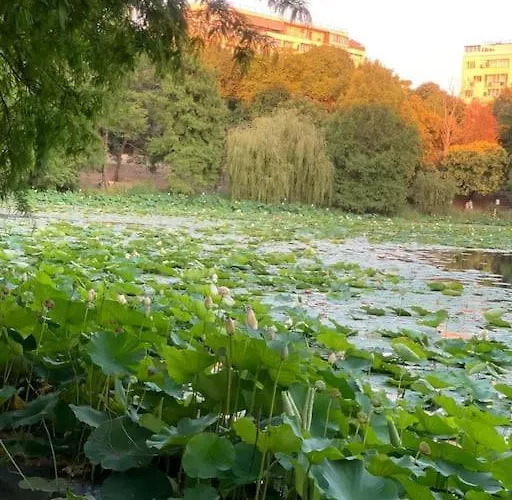 Little Paris Boutique Apartamento *