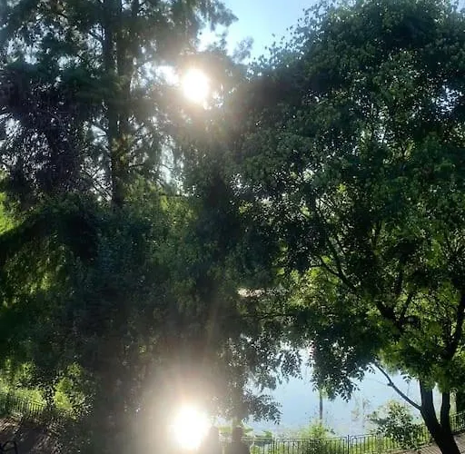 Apartman Little Paris Boutique