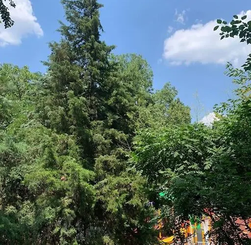 Little Paris Boutique Apartamento